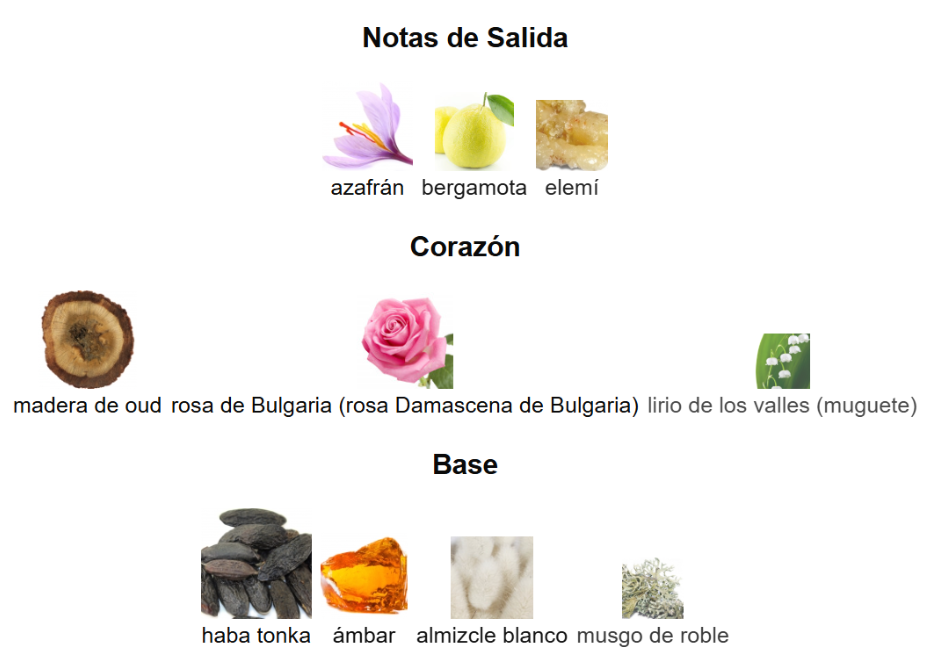 DUBAI NIGHT AMBER OUD