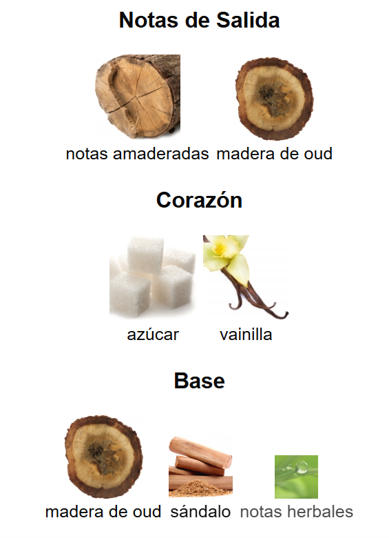 AMEER AL OUDH INTENSE OUD