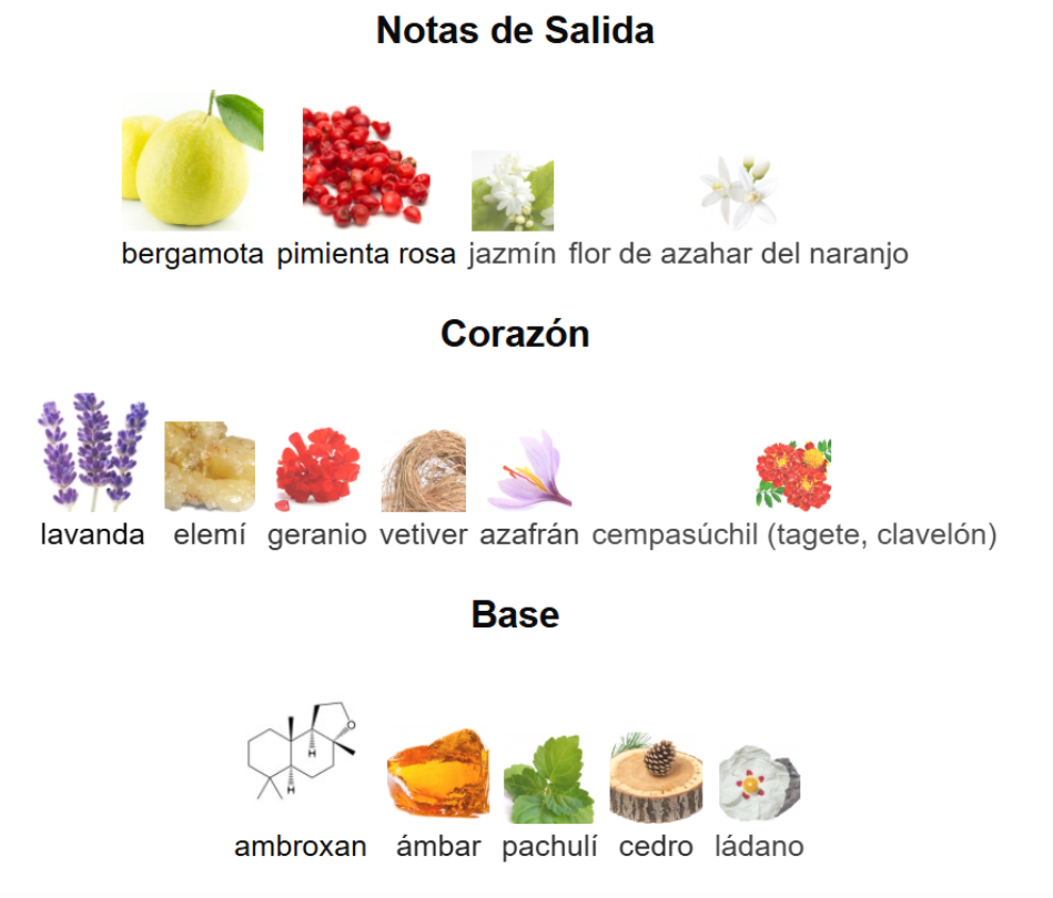 CLUB DE NUIT URBAN MAN ELIXIR