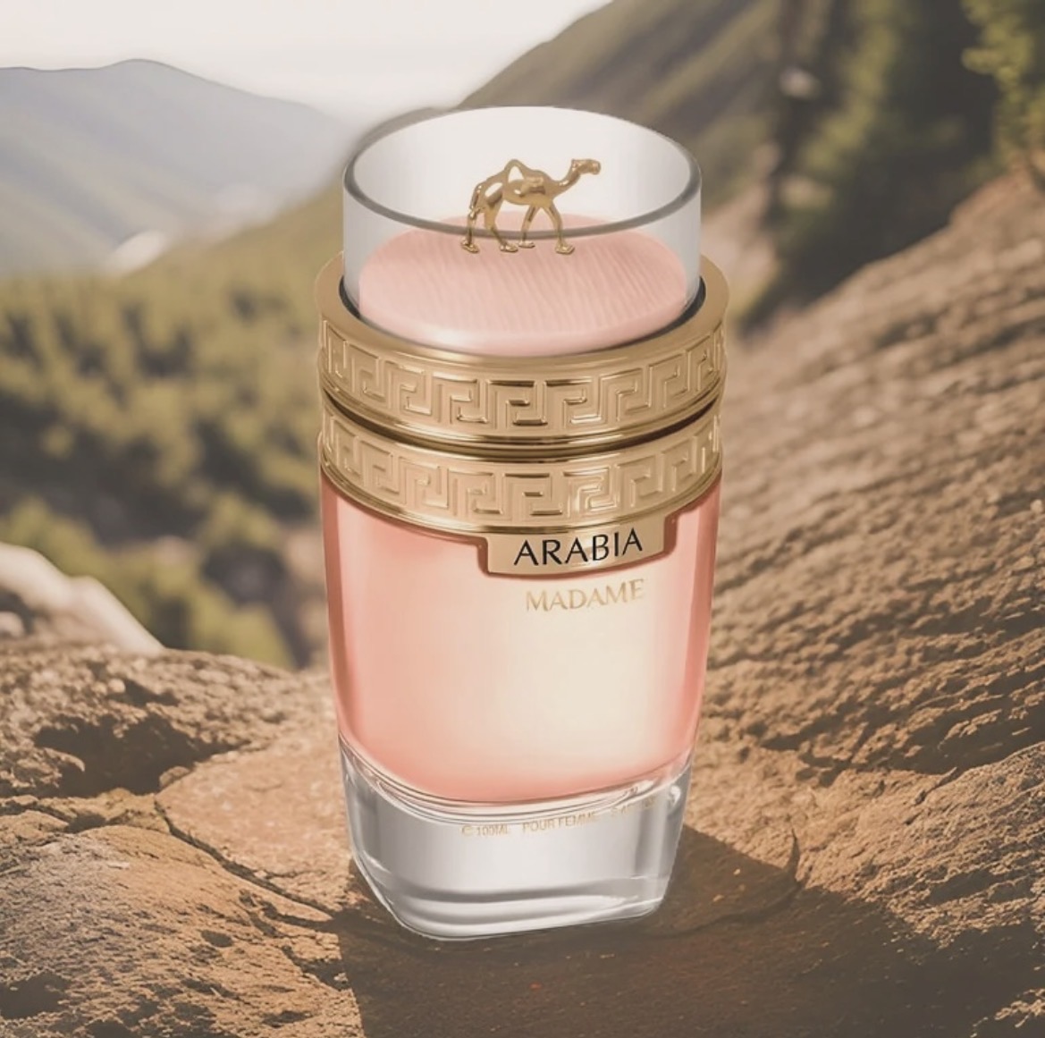MADAME ARABIA