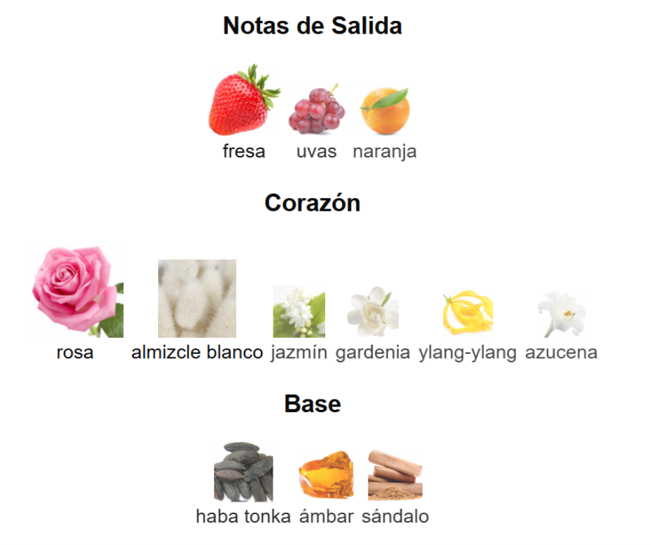 AMEERAT AL ARAB PRIVE ROSE