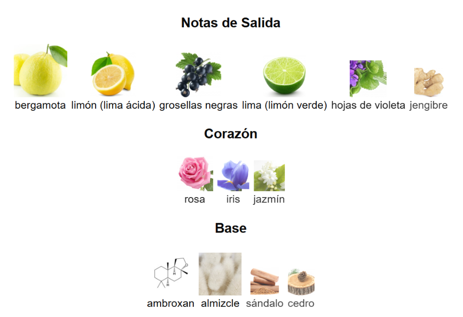 CLUB DE NUIT SILLAGE