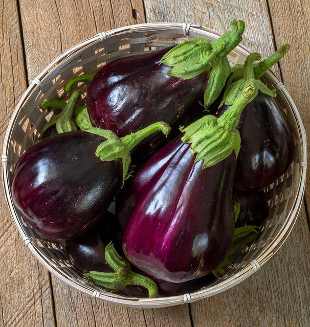 Eggplant - Black Beauty