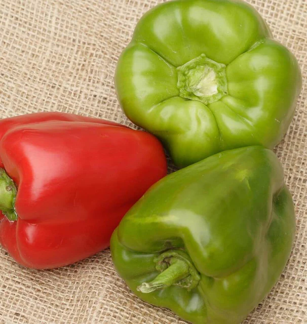 Sweet Pepper - California Wonder