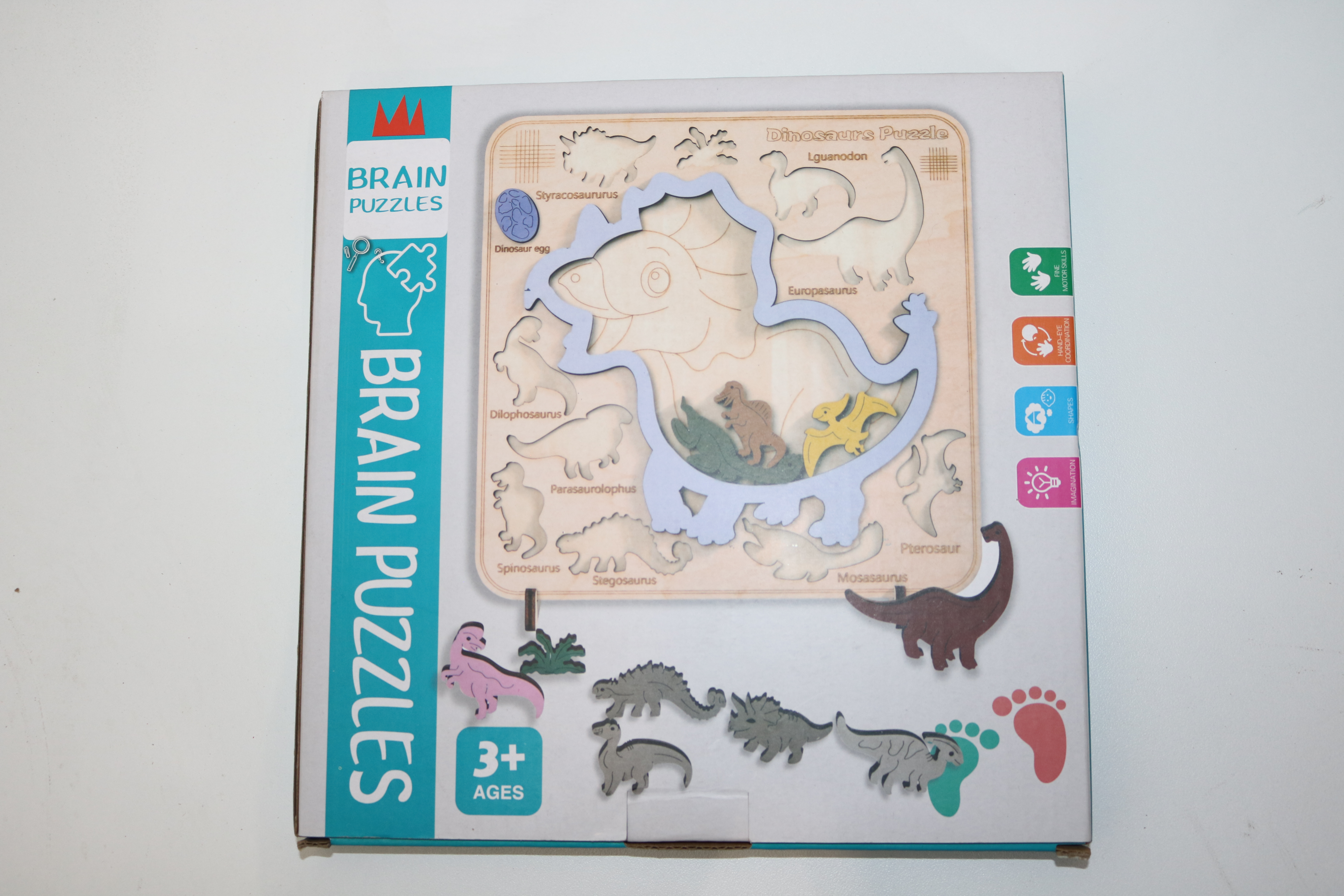 Dinosaur Brain Puzzle