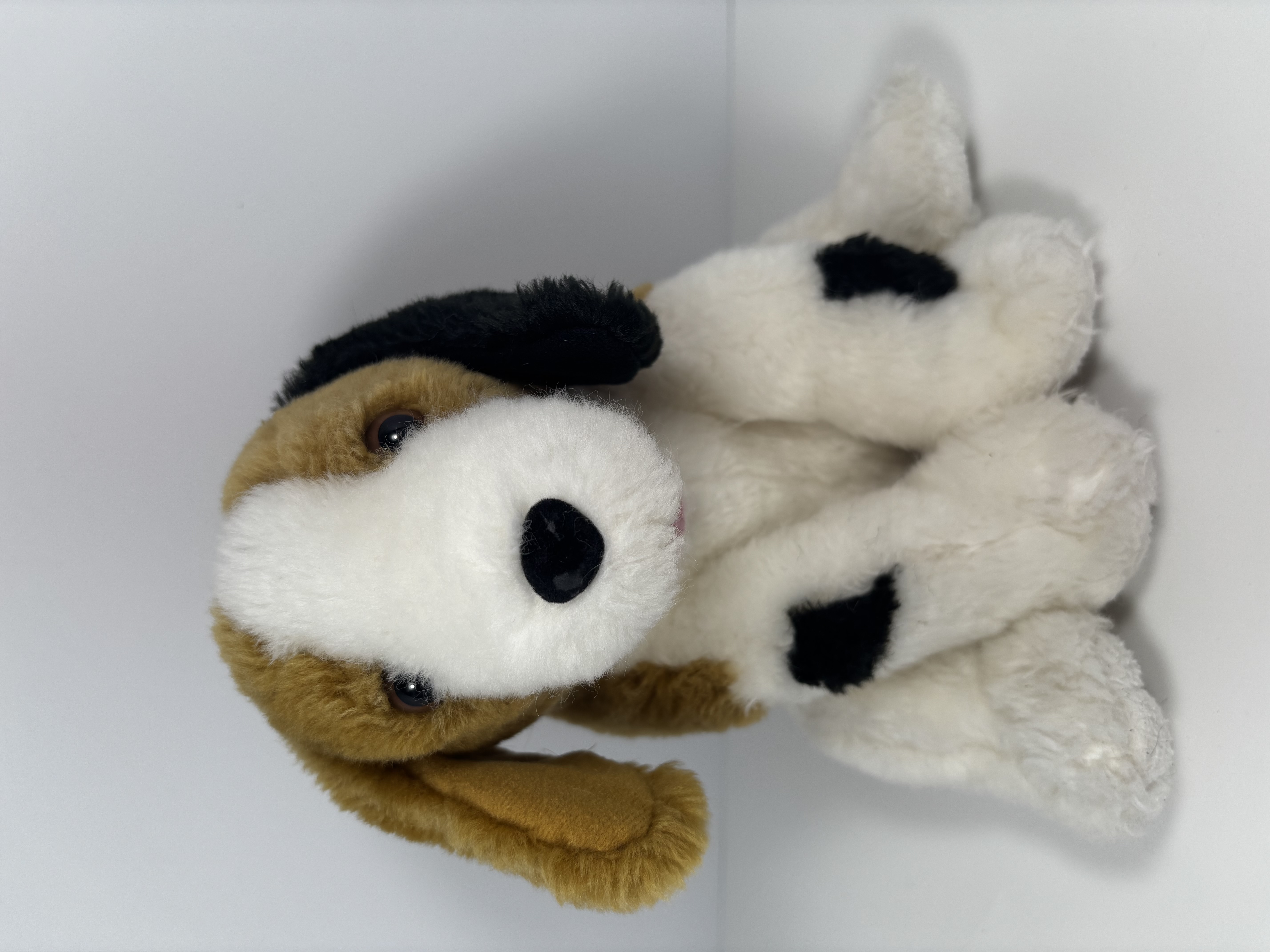 Kipper