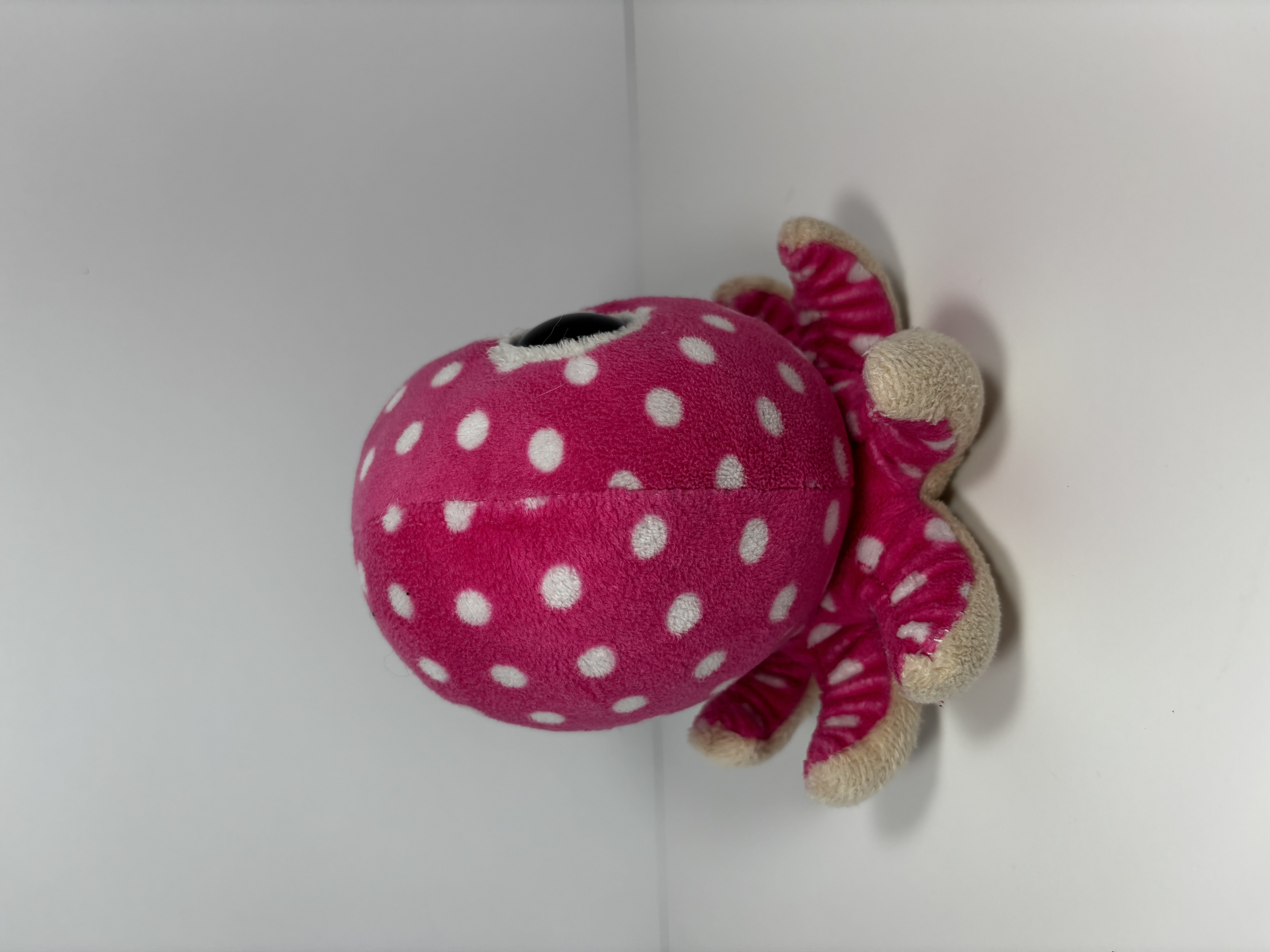 Octo