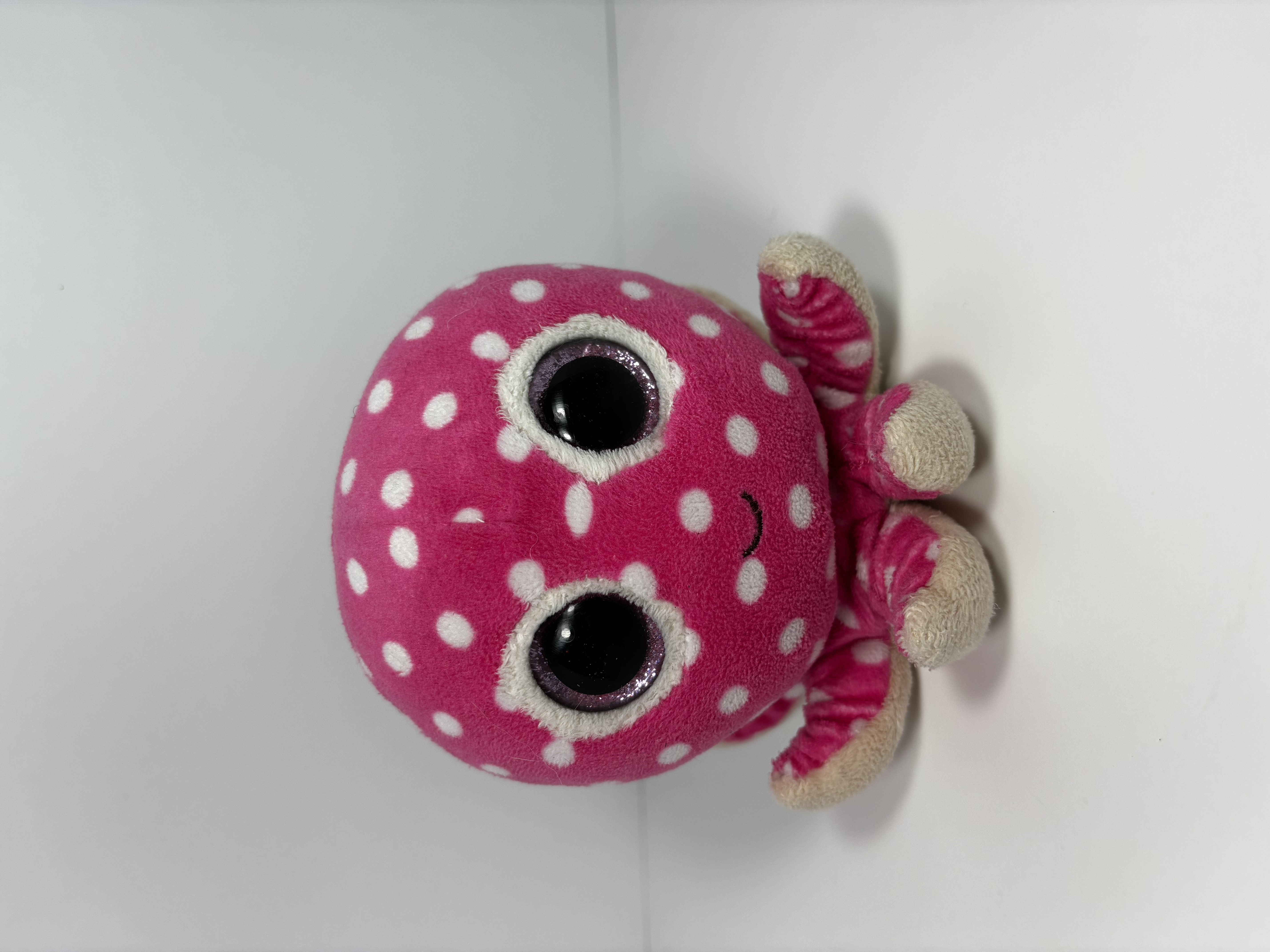 Octo