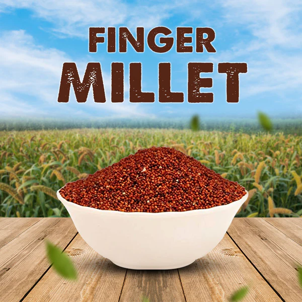 Organic Ragi (Finger Millet) Laddu