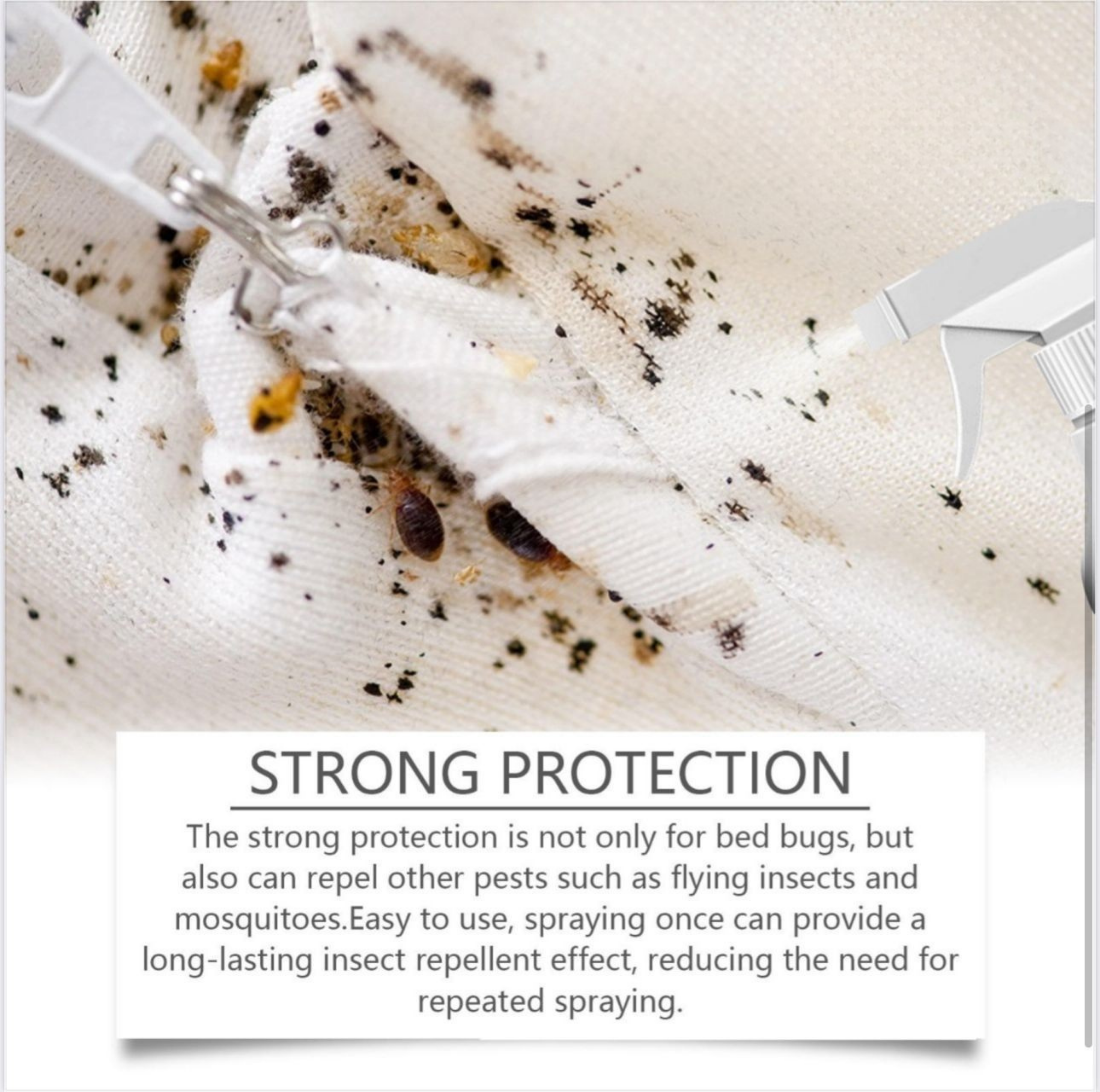 Bed Bug Repellent Spray