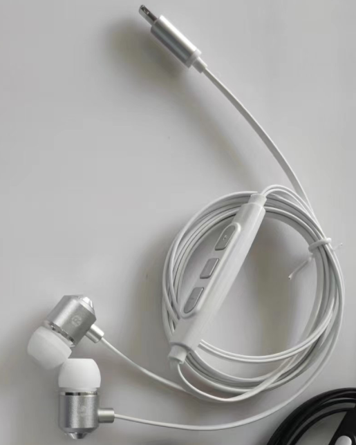Wired In-Ear Headphones