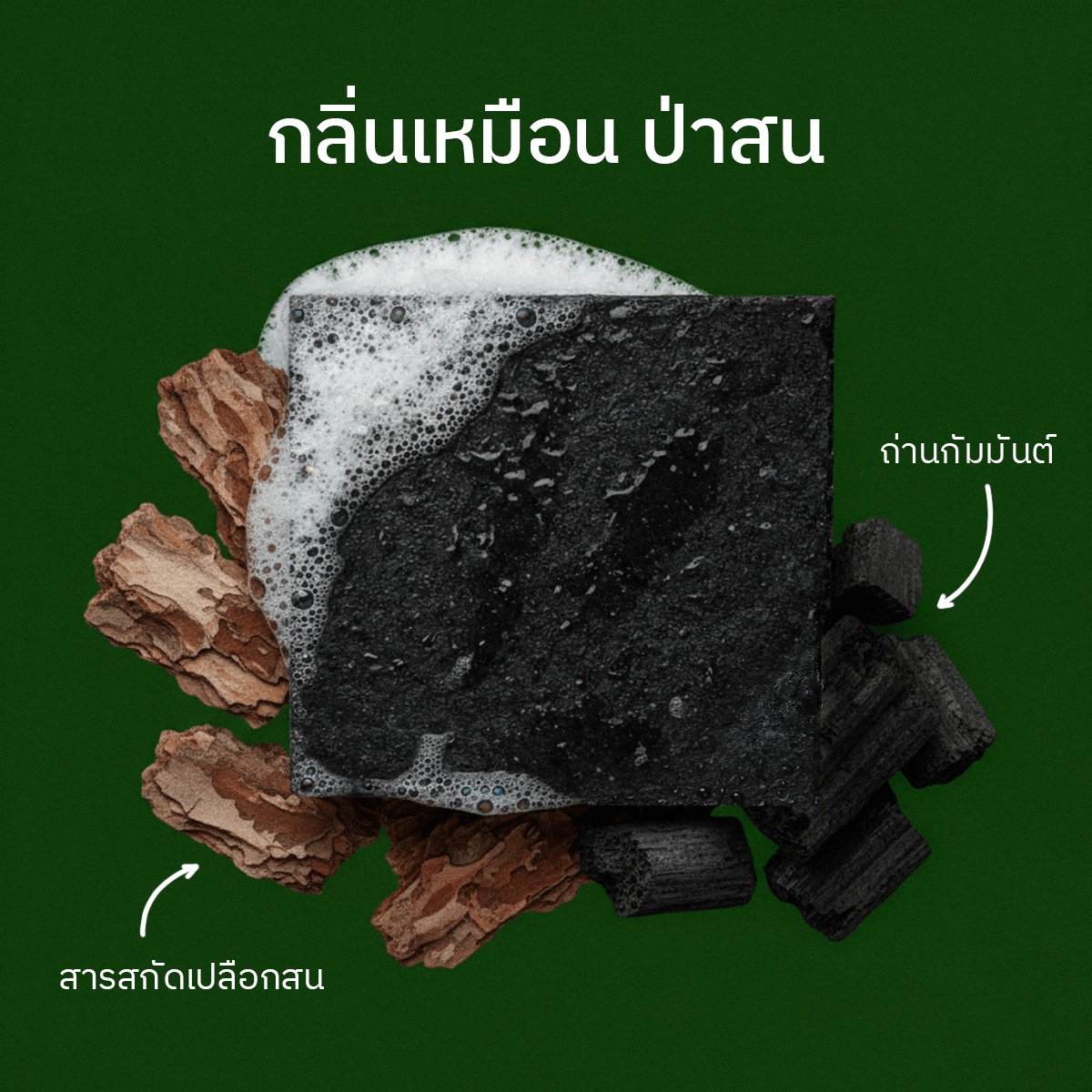 6x Gentle Grizzly Soap Bar: Tar and Timber