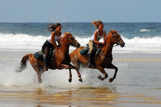 Horse ride in Agadir