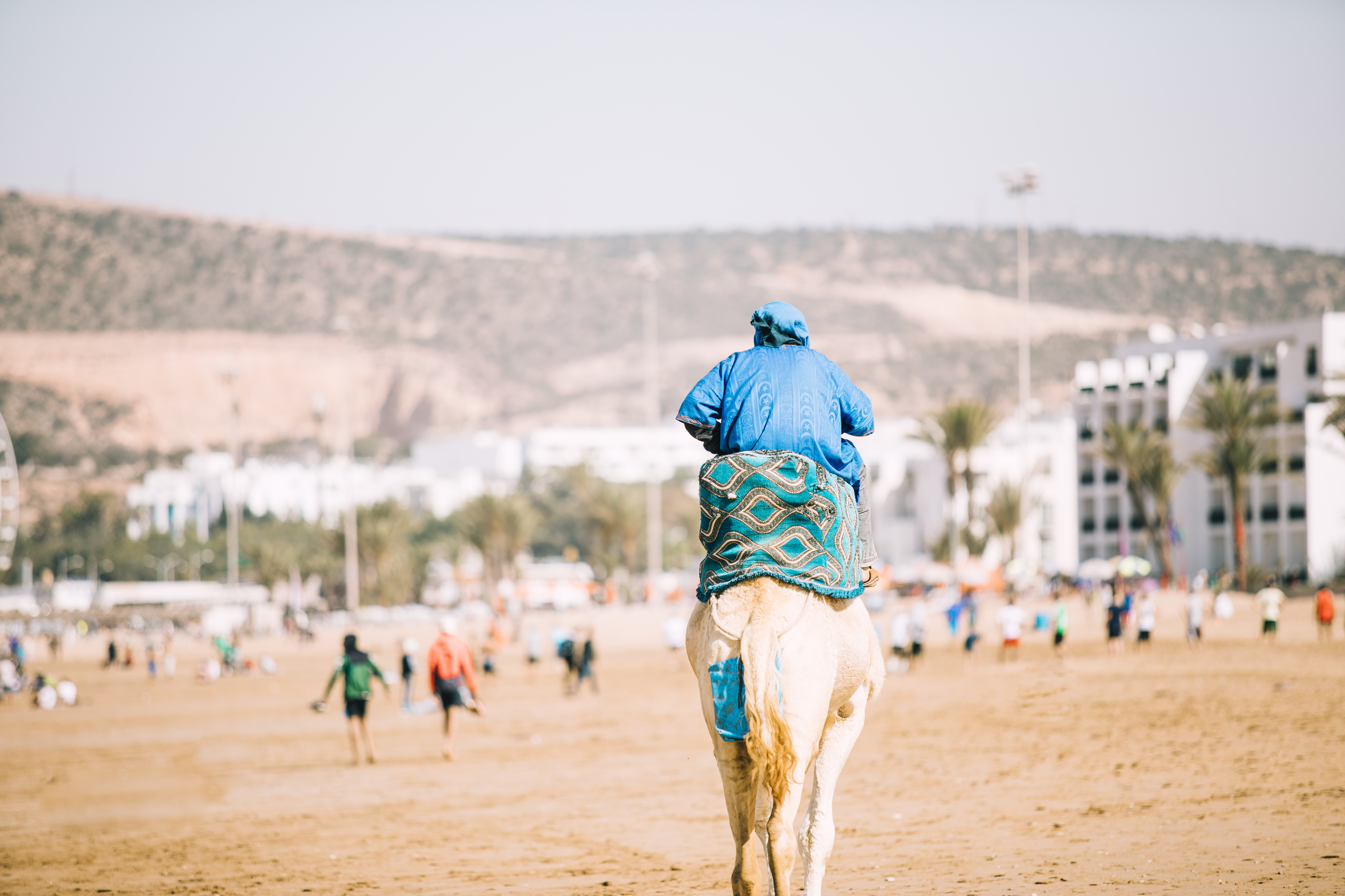 Camel ride in Agadir​
