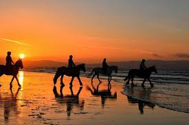 Horse ride in Agadir