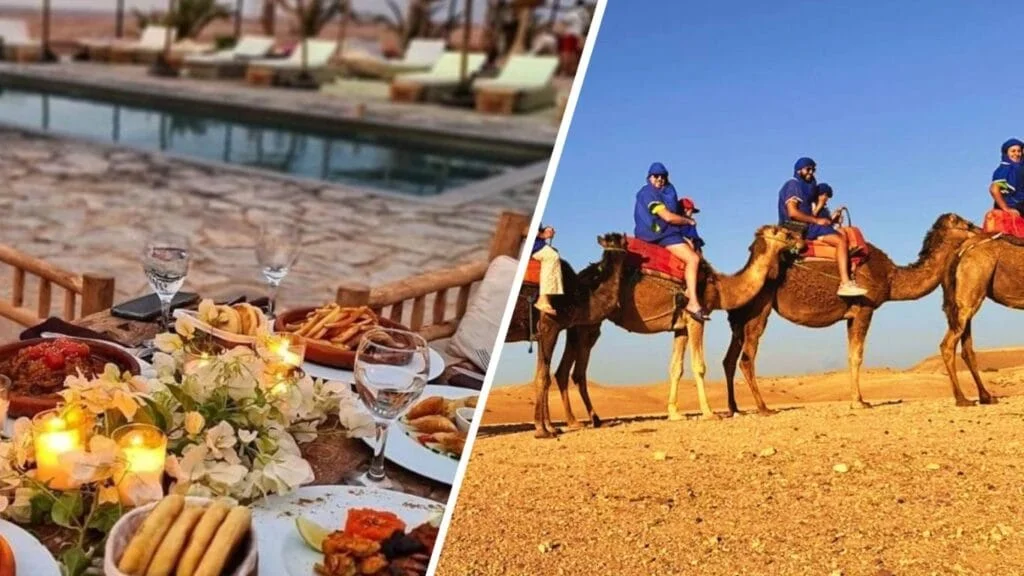 Sunset Camel Ride & BBQ