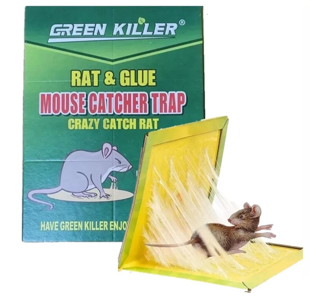 Trampa para ratones con pegamento