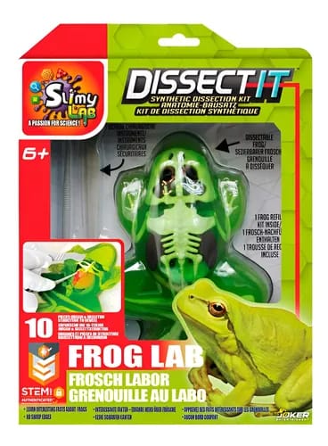 Kit de disección de rana sintética