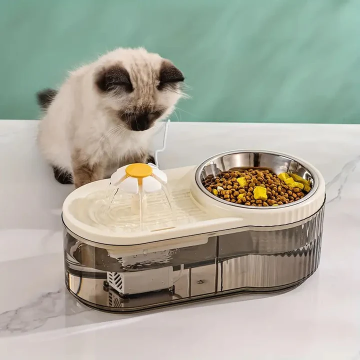 Automatic Pet Feeder with Water Fountain