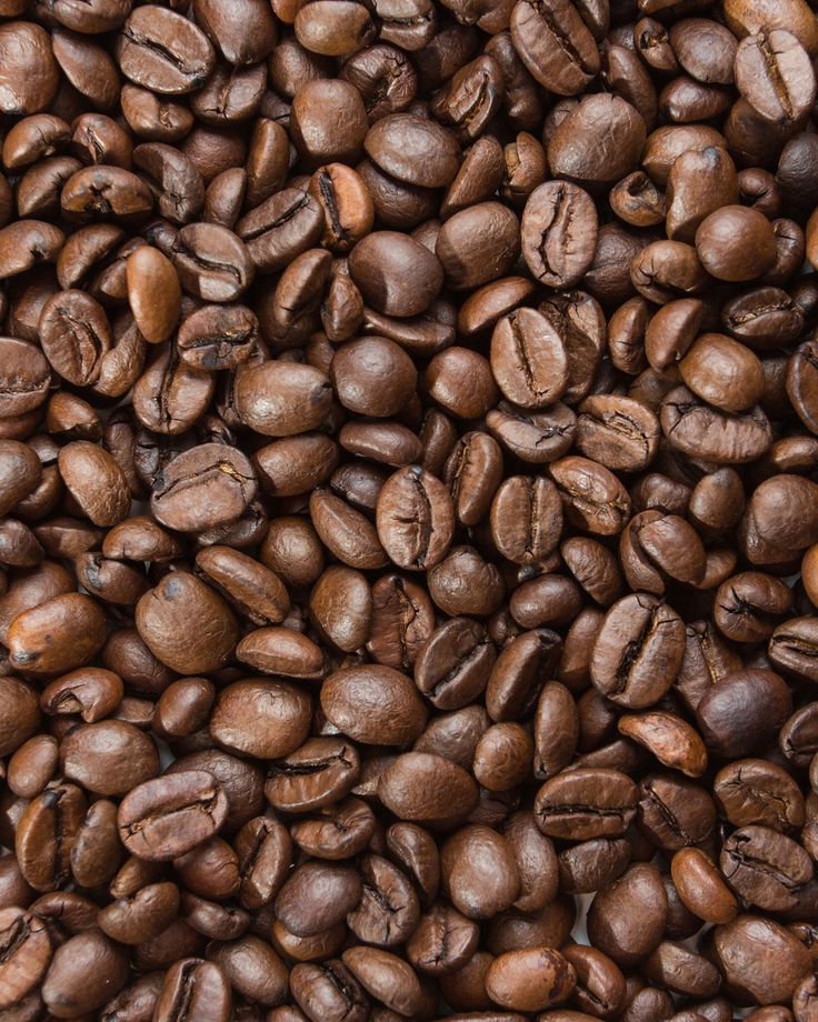 Arabica Bali Premium