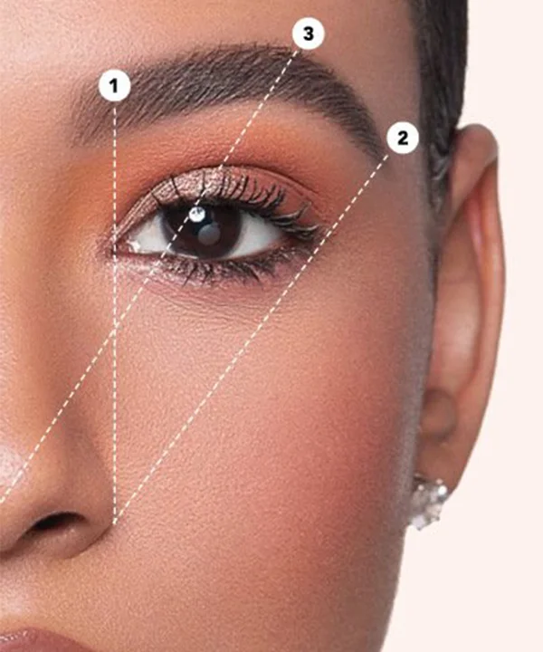 Pacote Completo Premium