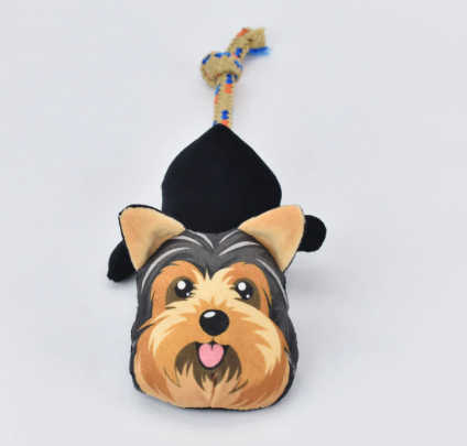 Raça Yorkshire - Ref 682