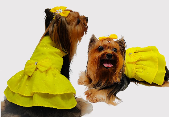 Vestido Laise Amarelo