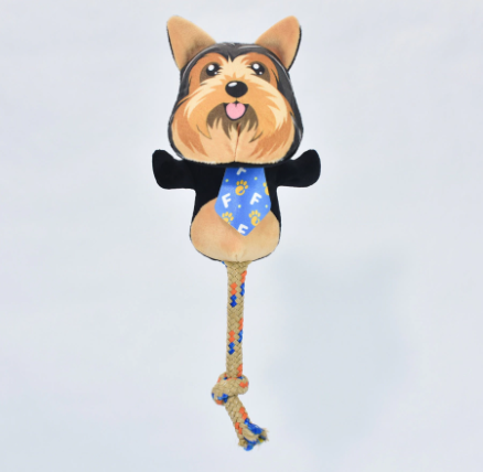 Raça Yorkshire - Ref 682