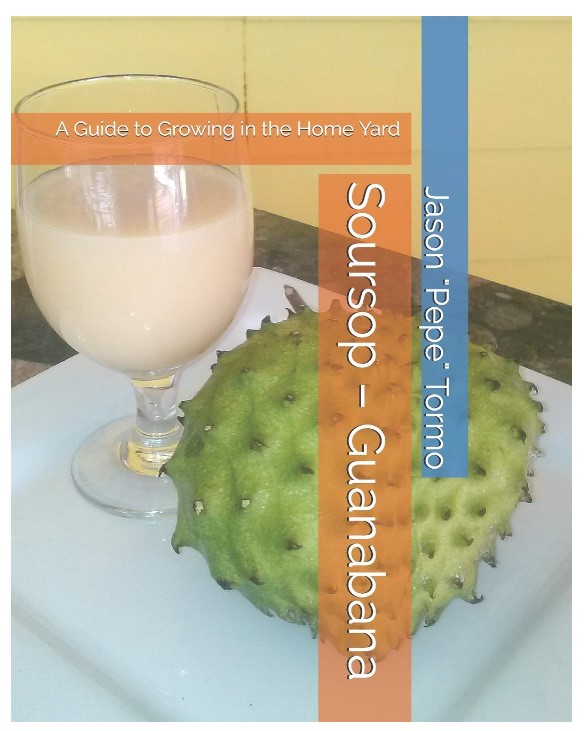 Two Soursop / Guanabana Trees - Shipping Included!