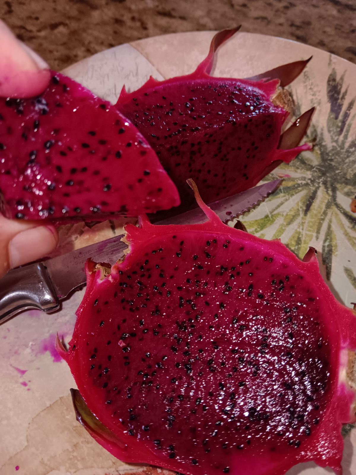 Two Dragon Fruit Pitaya Plants - Natural Mystic - Shipping Included!