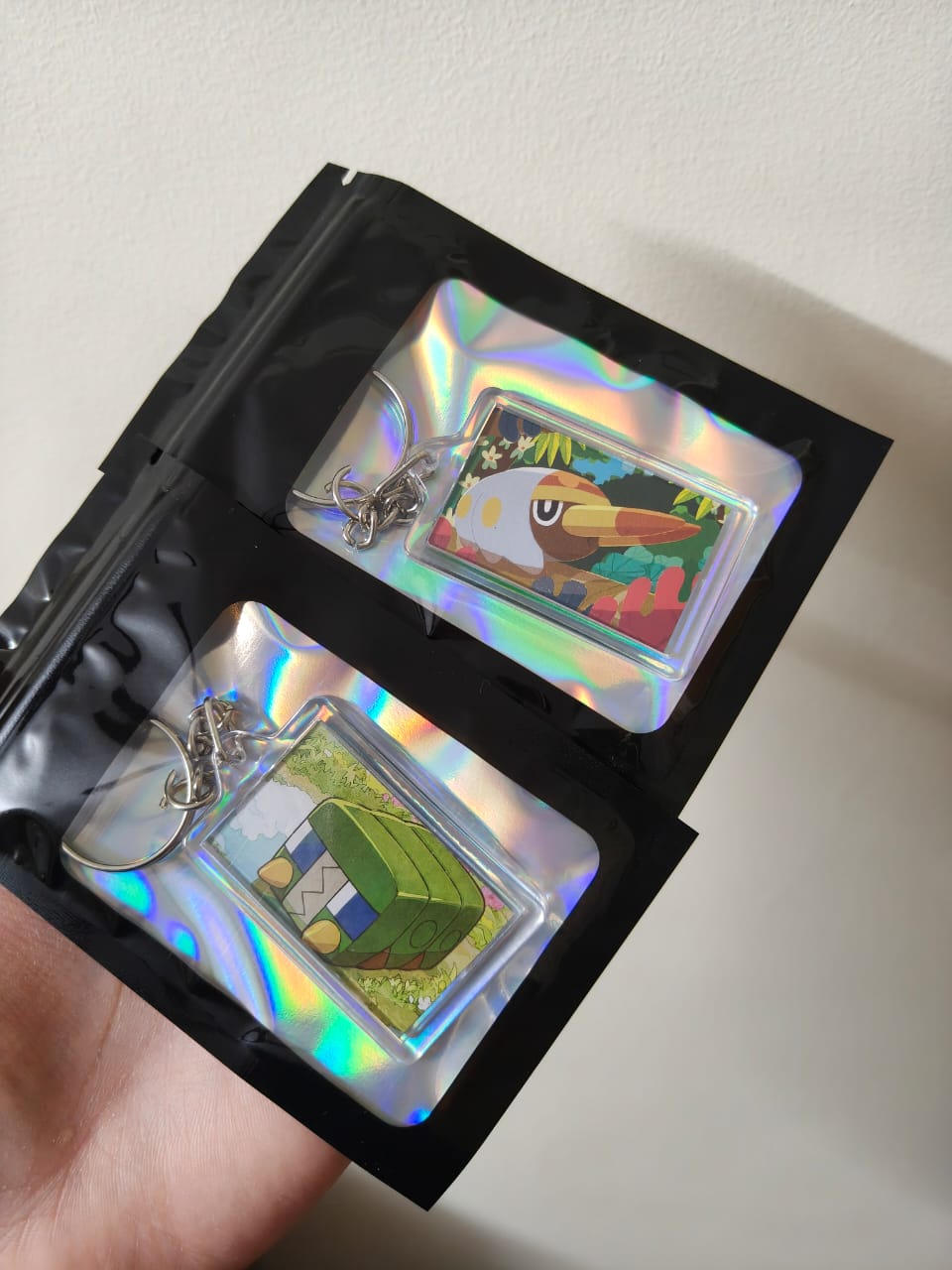 VaultCharm – Grubbin & Charjabug Duo (Bundle of 2 Keychains)