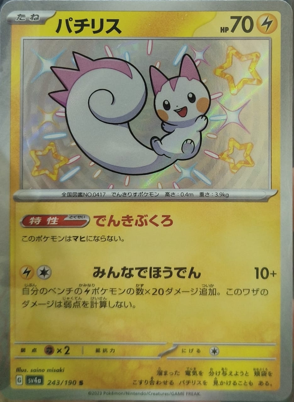 Pachirisu 243/190