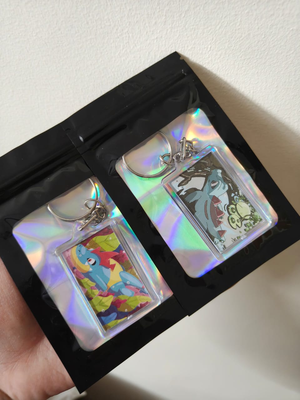 VaultCharm - Totodile + Croconaw – Evolution Duo Keychain Bundle