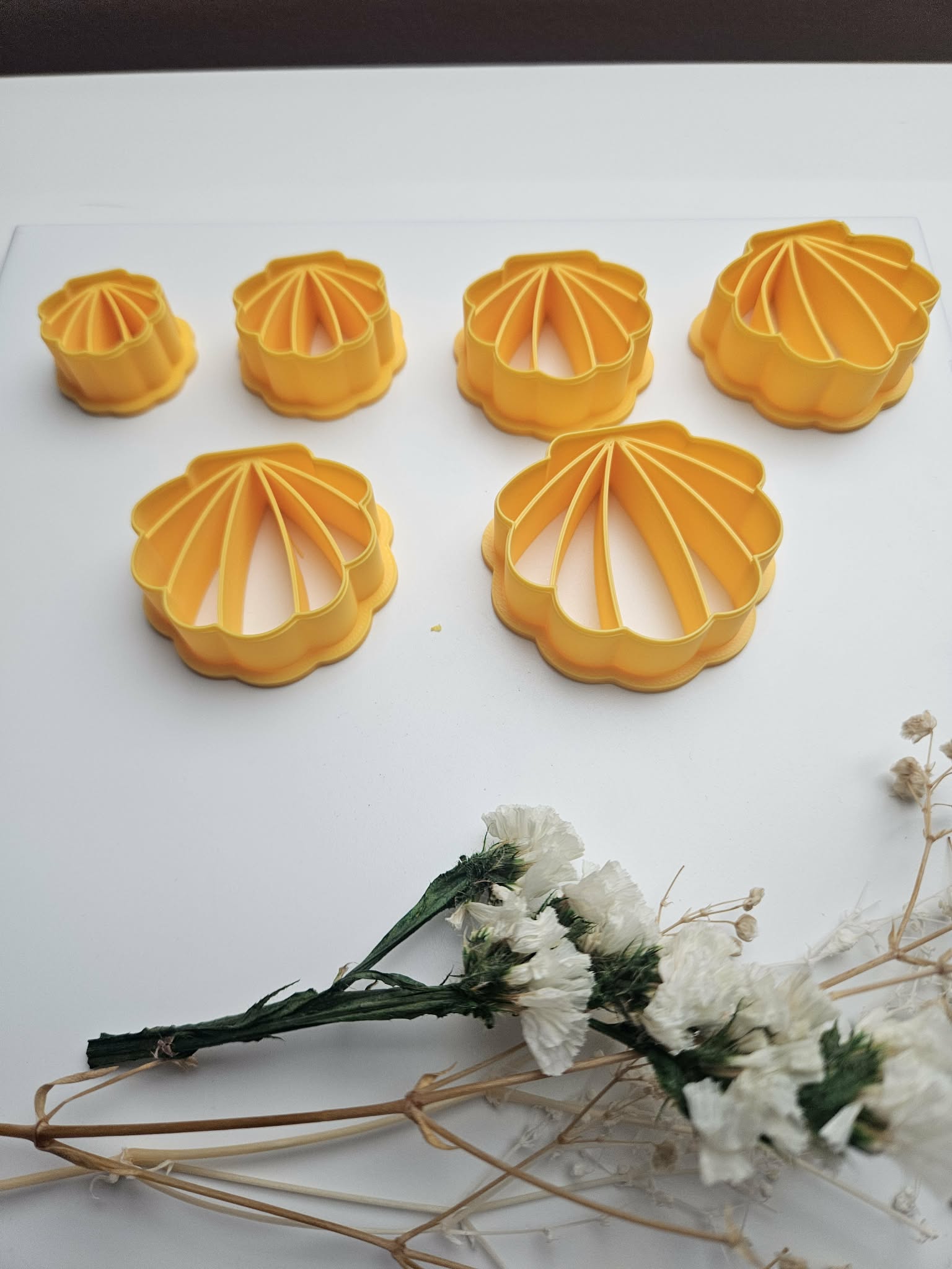 Emporte pièce coquillage