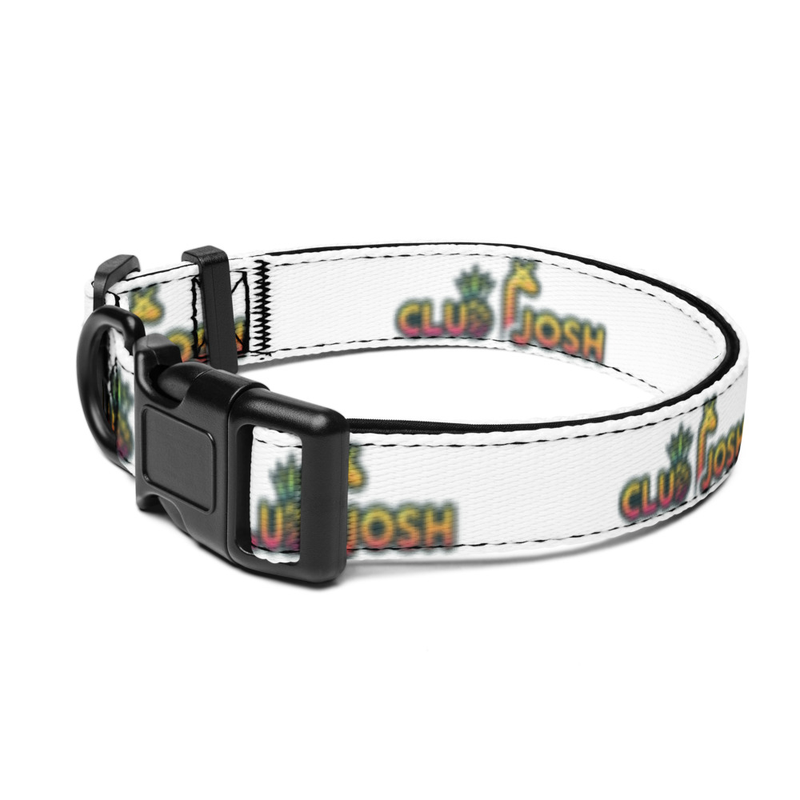 Pet collar