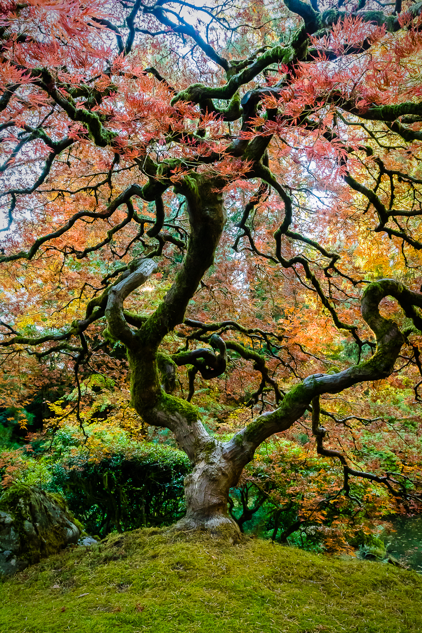 Nature's Masterpiece Aspect Ratio (5:7)