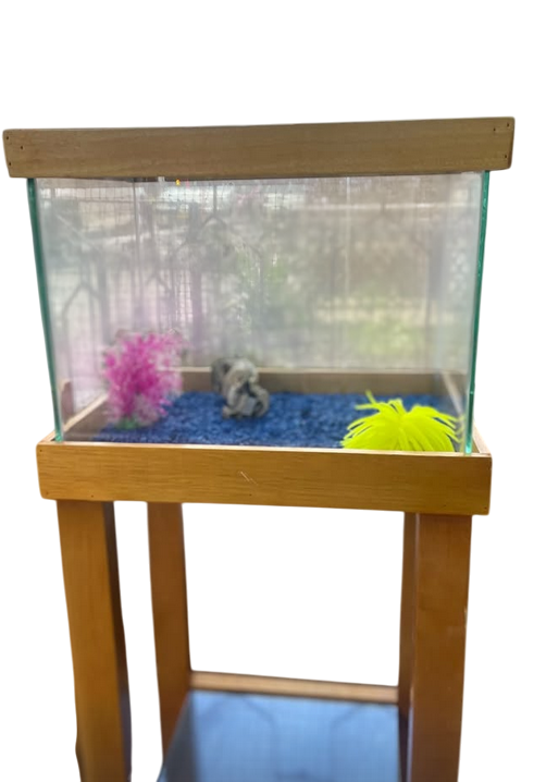 Acuario de vidrio con soporte