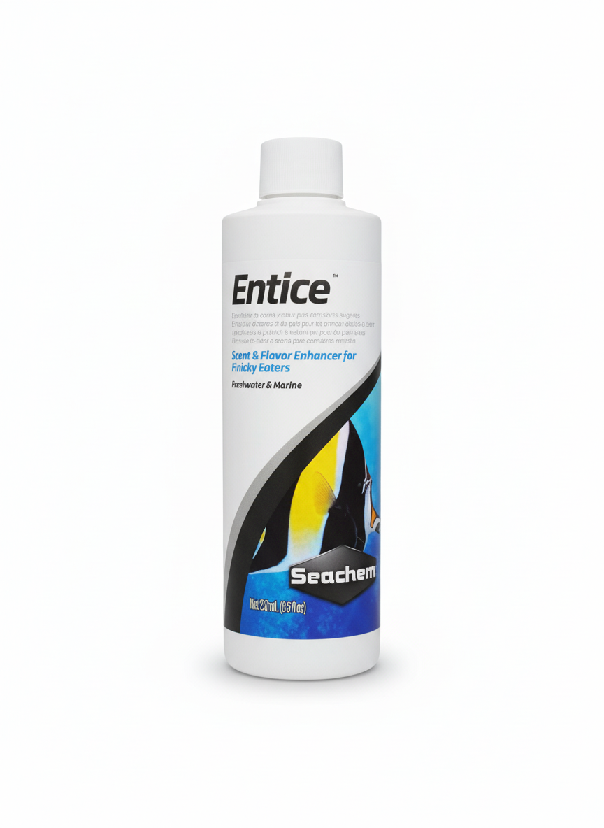 Entice x 250 ml
