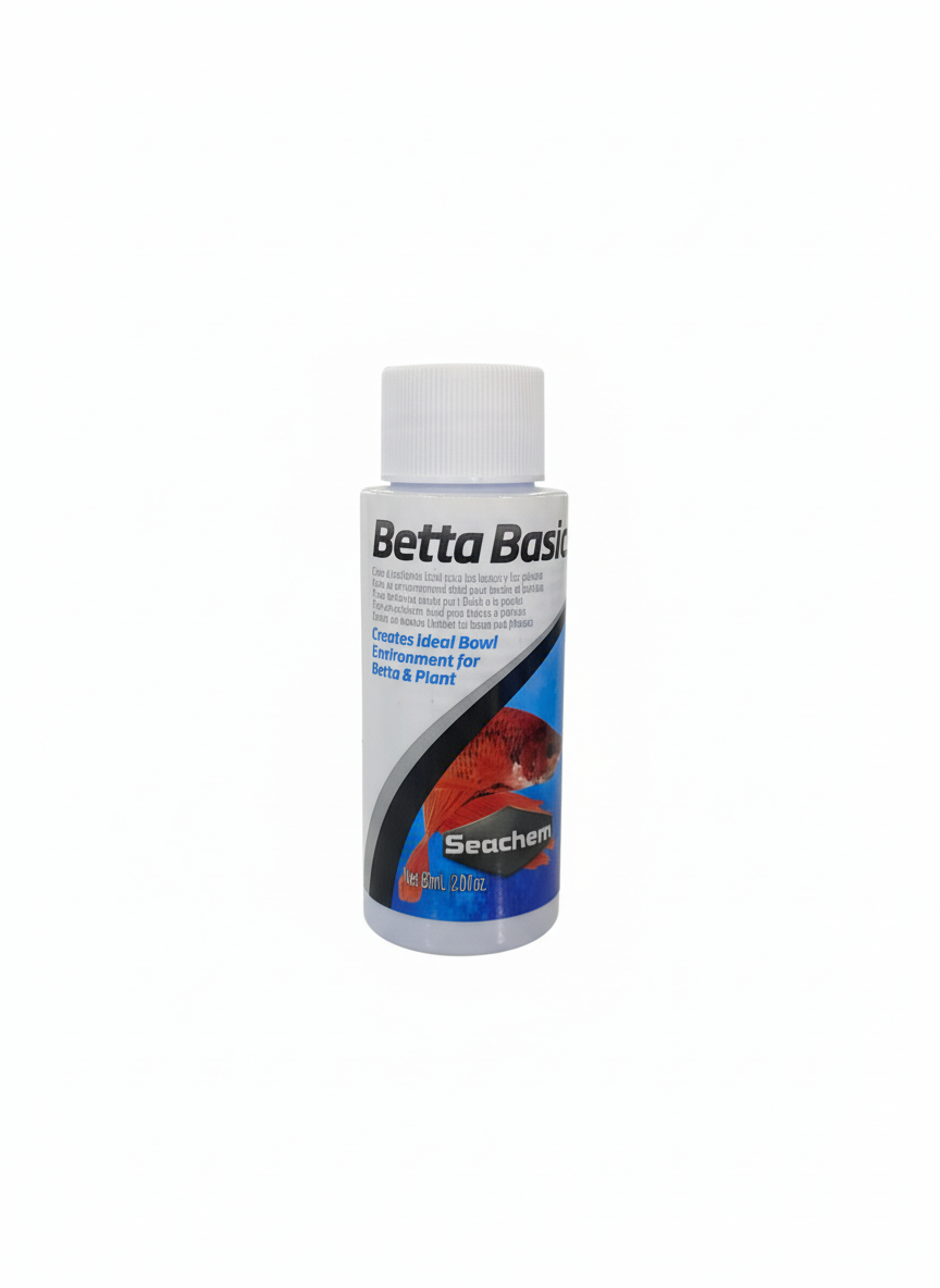 Betta Basics