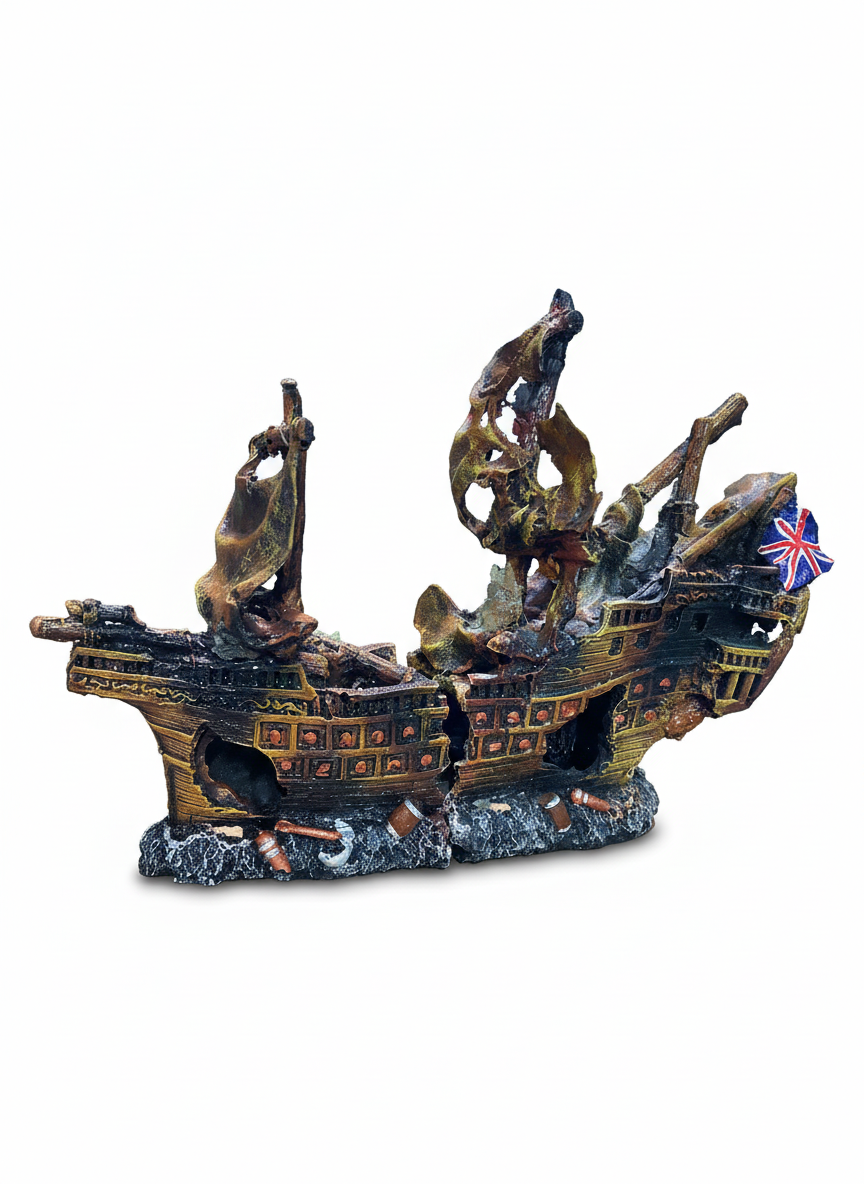 Barco ingles partido MEDIANO