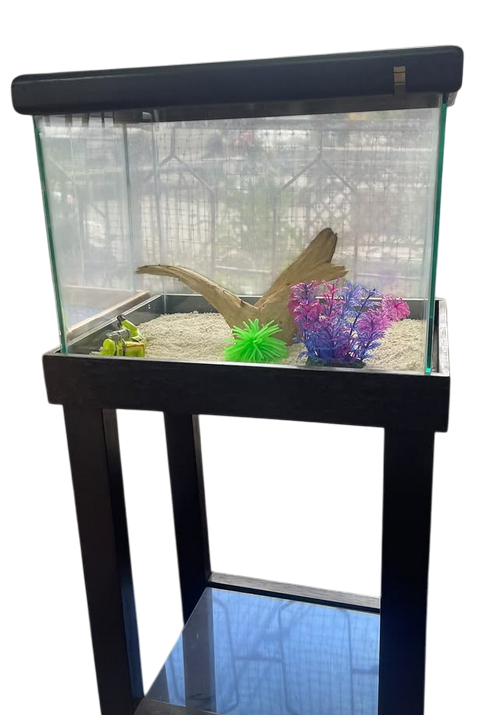 Acuario de vidrio con soporte