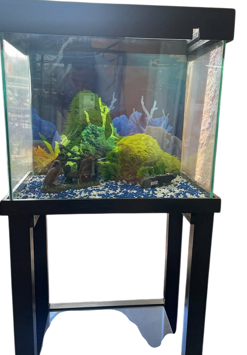 Acuario de cristal con soporte