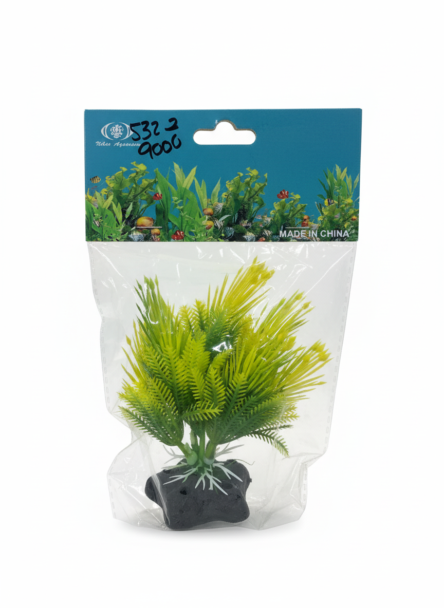 Planta 15 cm