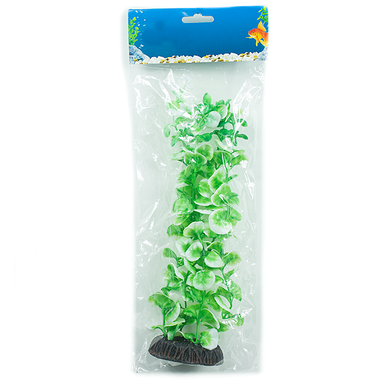 Planta 30 cm
