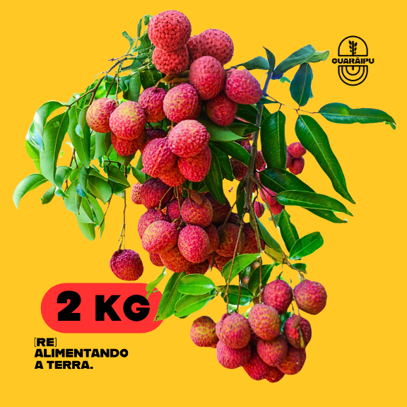 Lichia Orgânica (2kg)