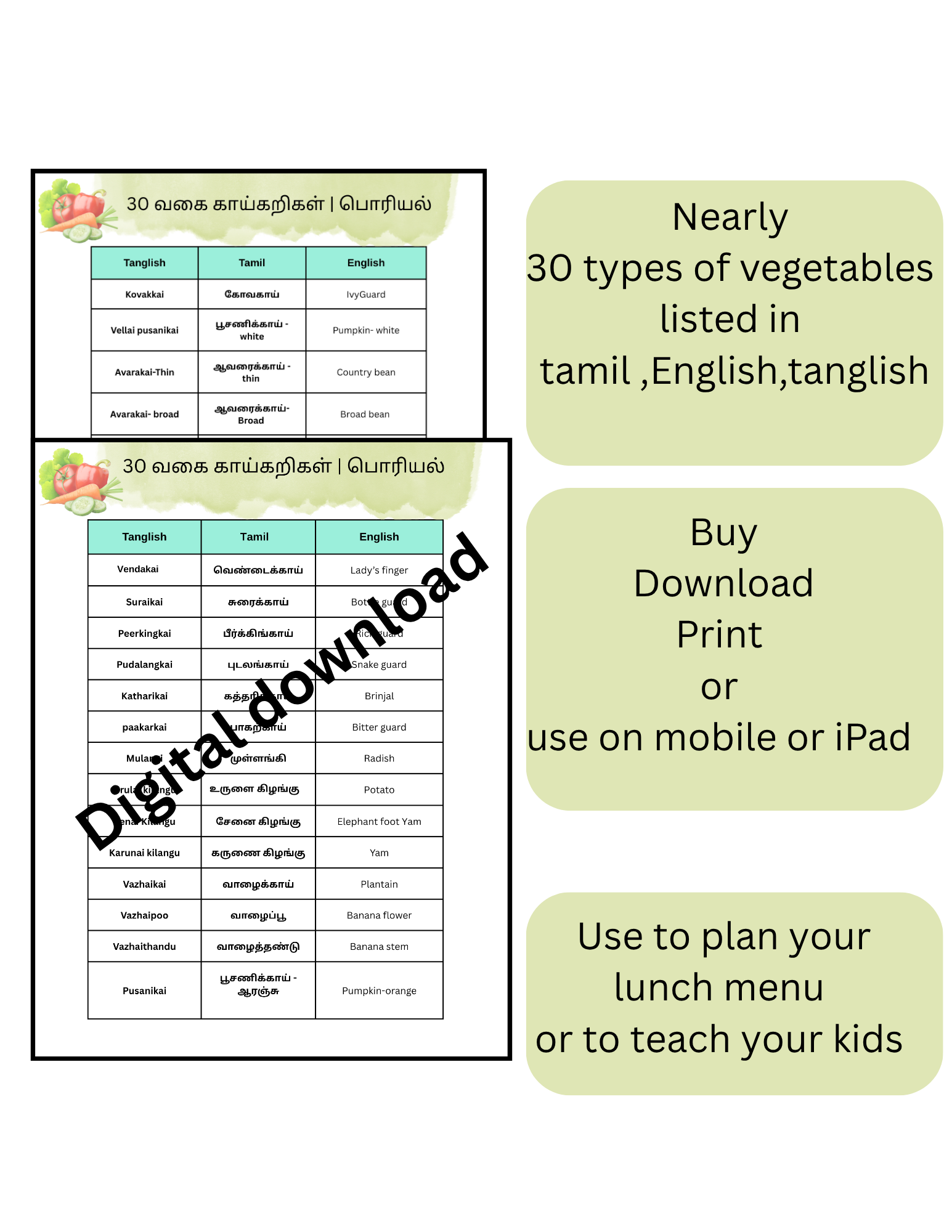 Tamil Vegetable list | printable | 30 vegetable name in tamil | for tamil NRI, kids ,digital download 
