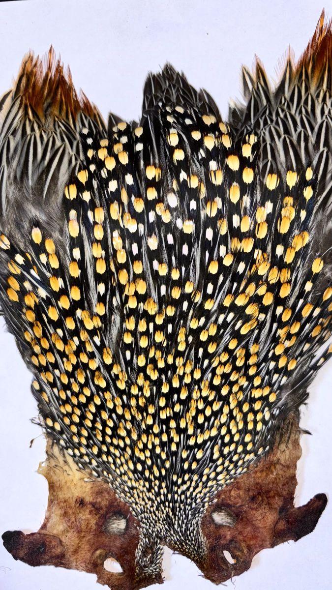 Super Quality Jungle Cock Cape – Collected by Our Hunters