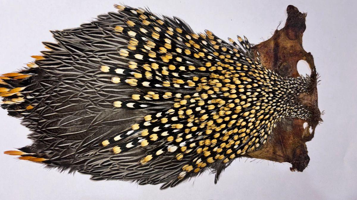 A Grade Jungle Cock Capes – Premium Quality Feathers