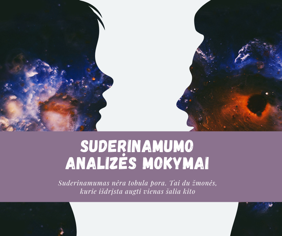 SUDERINAMUMO ANALIZĖS MOKYMAI