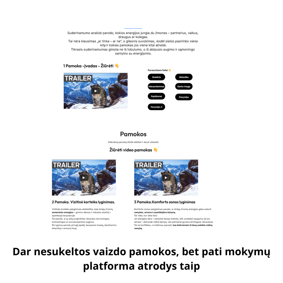 SUDERINAMUMO ANALIZĖS MOKYMAI